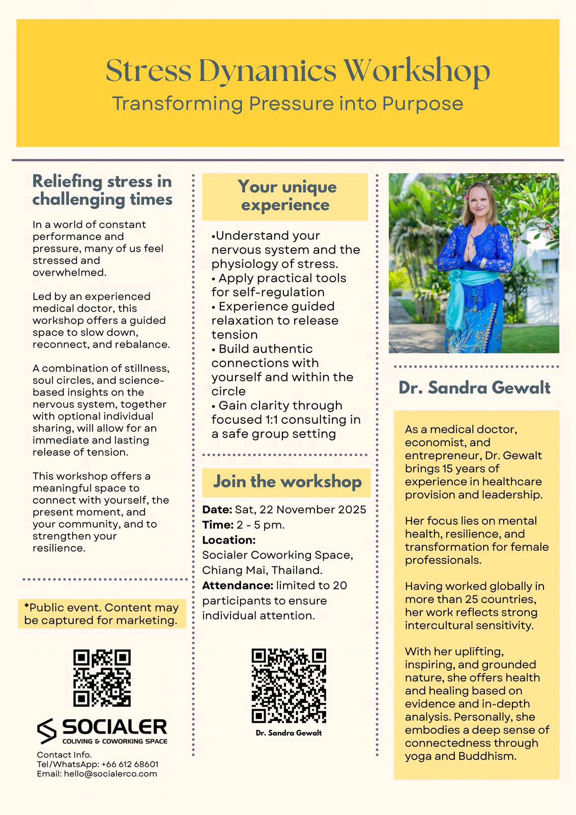 Stress Dynamics Workshop