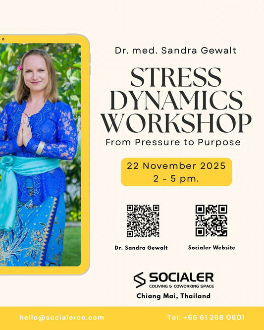 Stress Dynamics Workshop