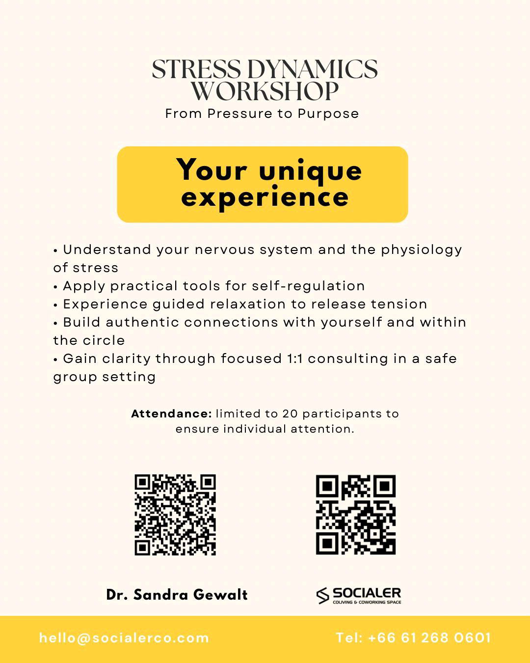 Stress Dynamics Workshop