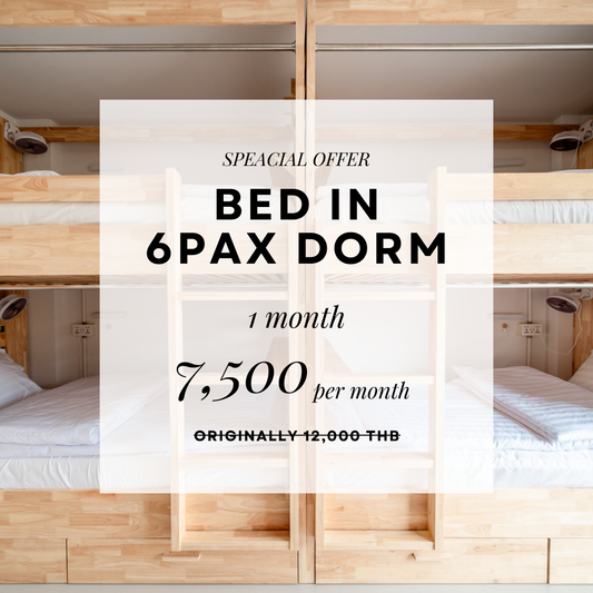 Socialer Long Stay Package 1 Month in Dorm