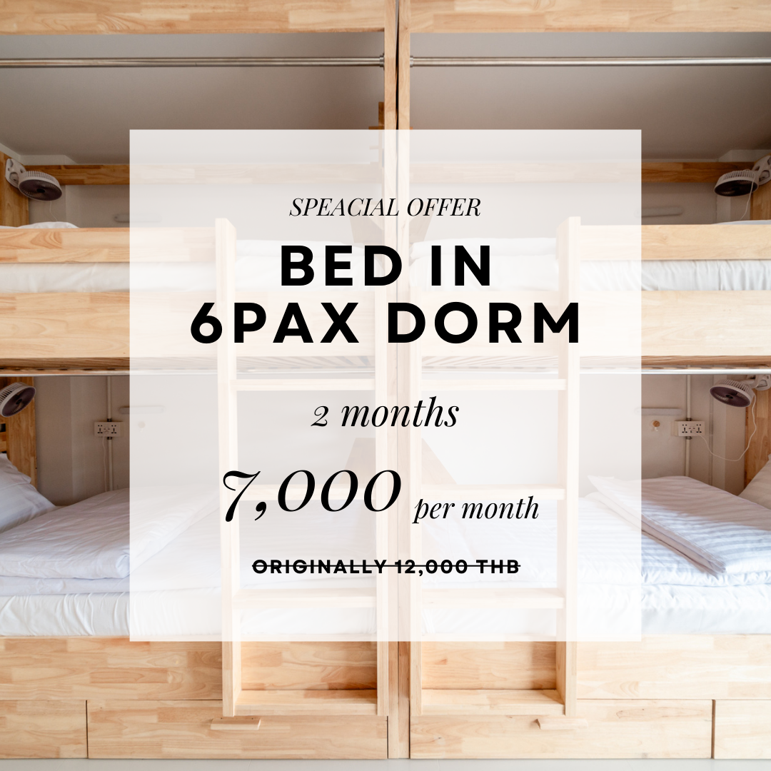 Socialer Long Stay Package 2 Months in Dorm